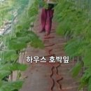 공오이이 이미지