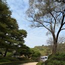 호텔꼬뮨 광릉수목원점 | 🍁 광릉 국립수목원 가을단풍 + FROM ITALY 점심 여행