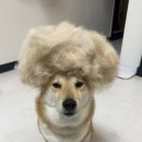 데이즈피부과의원 이미지