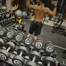 브리티시 클럽 이미지