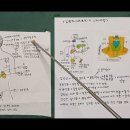 갑상선 호르몬 티록신의 신진대사와 갑상선 저하증과 항진증 이야기 이미지