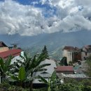 le puppy | 베트남 사파 Sapa 여행 카페 추천 모음집