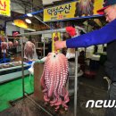 죽도어시장 이미지