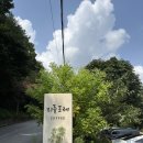 리틀포레 | 경기도 양평- 서울 근교 계곡 카페 리틀 포레 방문 후기