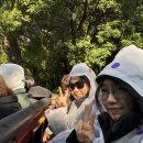 포댕포댕 이미지