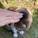 코코코게스트하우스 이미지