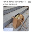 시험기간이지만 분량 대폭발🤯