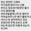 [네이트판] 남편의 문자, 협박죄로 처벌 가능한가요? 이미지