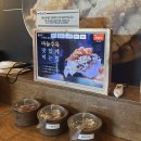 역삼2-104 | 선릉역 점심 맛집, 수백당 역삼점(혼밥, 메뉴)