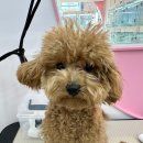 멍미살롱 이미지