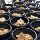 동1로 | 화개장터, 영등포구청 맛집의 진수를 맛보다