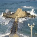 썬라이즈경포 이미지