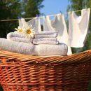 세탁의정석 이미지