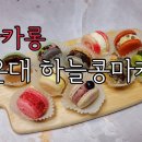 좌4동-9 이미지