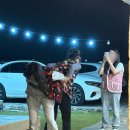 스테이 별채 이미지