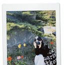 삼향천로 이미지