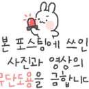 샐러디 김포사우점