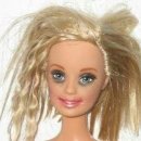 로얄애견 이미지