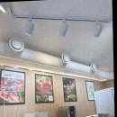 마산양덕동맛집 창원늘푸른샤브편백찜월남쌈소고기무한리필 직접 경험한 솔직 후기