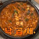 낙곱새 티스토리