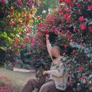 개화펜션 | 제주도 동백꽃 포토존 숨도 (동백꽃 개화 최신 근황, 숨도카페 내돈내산)