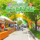 2025년 양구 곰취축제 일정 + 체험 프로그램 + 추천 먹거리 총정리
