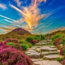 덕일상사 이미지