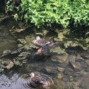 문동마을회관 이미지