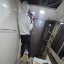 유림팔레트