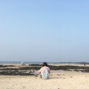 보영이네 시골밥상 | <암 얼론 인 제주 1일>2박3일/혼자/제주도여행/뚜벅이/벨롱장/세화리/종달리/종달스토리