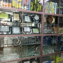 유엔마크-체육사 이미지