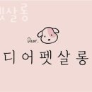 디어펫살롱 이미지