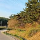 서산시 바다인접 10m도로접한 자연.보전녹지9300평 다용도 추천 이미지
