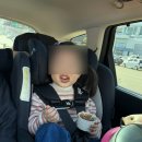 웅이아부지 | [강원도 속초 여행] 나도 먹어봤다!! 청초수물회 내돈내산 솔직후기