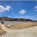 양평공인중개사사무소 이미지