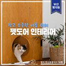 명지 한신휴플러스 | 명지 한신휴플러스 리모델링/ 반려견,반려묘를 위한 펫도어 설치