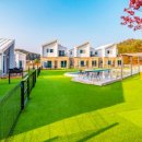 골드스푼애견풀빌라 이미지