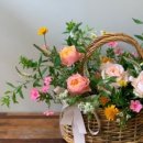 태종대초등학교 이미지