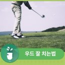 정자스크린골프 이미지