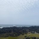 하모리-11 이미지