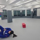 용인대 부흥 유도 체육관 이미지