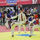 서울태권도체육관 이미지