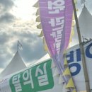 방어축제거리 | 일기 / 제주도 최남단 모슬포 방어축제 후기 맨손으로 방어잡기