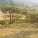 만추의 전원 이미지