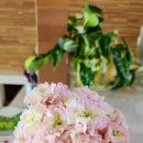 구(북안) 이미지