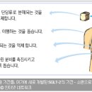 ■ 당뇨병 치료제 종류 이미지