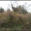 도순주유소 이미지