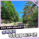 송계계곡 덕주솔밭 피크닉존 후기 제천 물놀이 주차 및 예약방법