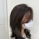 딜라잇솔