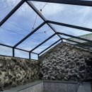 표선달채 이미지